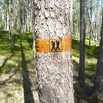 Lemmenjoen Lumo - Nature Experience & * Lemmenjoki