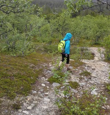 אתר קמפינג Lemmenjoen Lumo - Nature Experience &