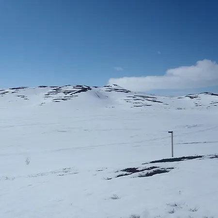 Lemmenjoen Lumo - Nature Experience &