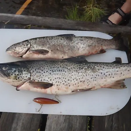 Kemping Lemmenjoen Lumo - Nature Experience & *