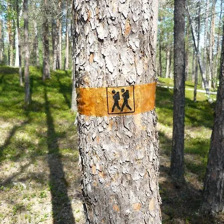 Lemmenjoen Lumo - Nature Experience & * Lemmenjoki