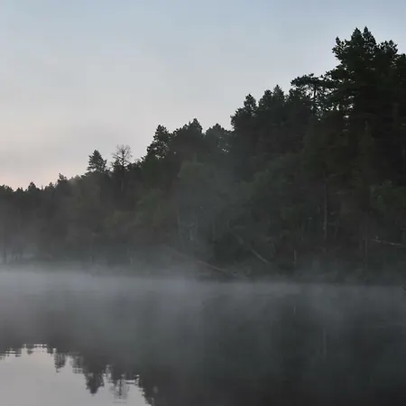 Lemmenjoen Lumo - Nature Experience & Kemping