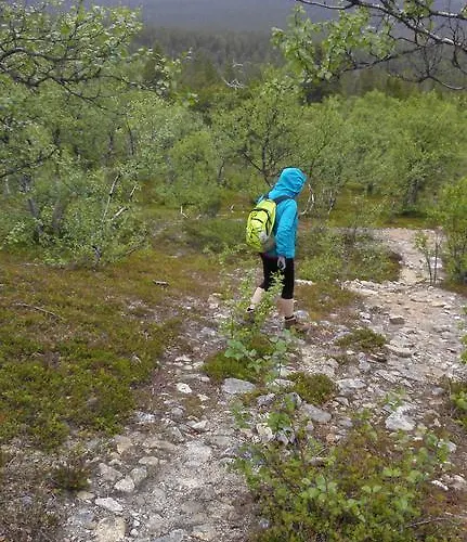 Parque de Campismo Lemmenjoen Lumo - Nature Experience &