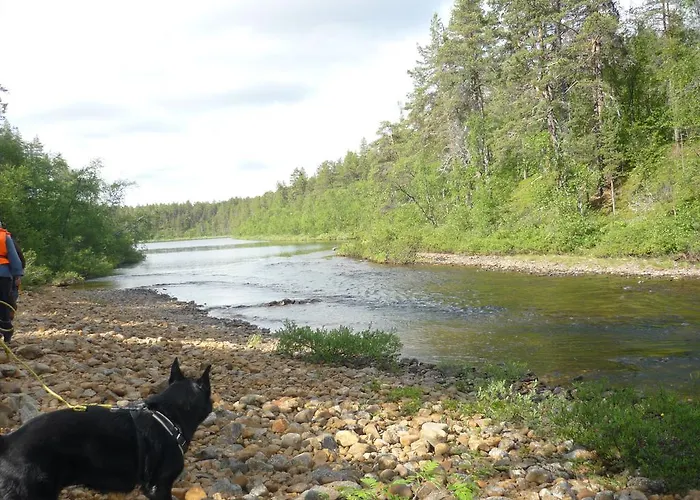 Lemmenjoen Lumo - Nature Experience & * Lemmenjoki