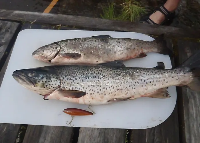 Parque de Campismo Lemmenjoen Lumo - Nature Experience & *